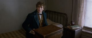 Fantastic Beasts and Where to Find Them Announcement Trailer