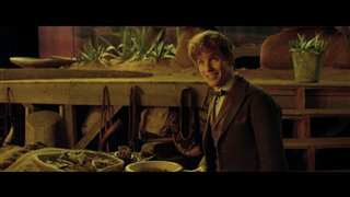 Fantastic Beasts and Where to Find Them Featurette - A New Hero