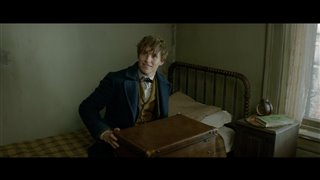 Fantastic Beasts and Where to Find Them Movie Clip - "Just A Smidge"