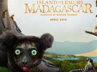 Island of Lemurs: Madagascar - Behind the Scenes