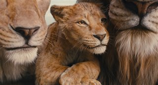 Mufasa: The Lion King (2024) Movie Trailers & Videos