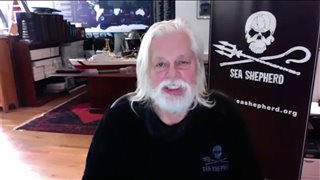 Paul Watson reveals how we can all help save the environment