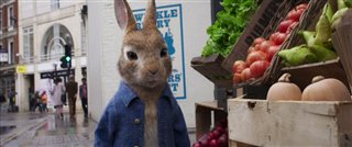 'Peter Rabbit 2: The Runaway' Teaser Trailer