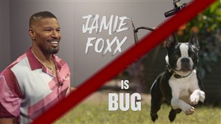 STRAYS - Jamie Foxx is Bug
