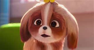 'The Secret Life of Pets 2' - The Daisy Trailer