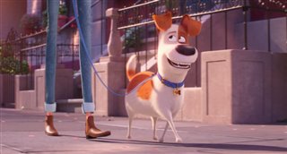 'The Secret Life of Pets 2' - The Max Trailer