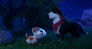 'The Secret Life of Pets 2' - The Rooster Trailer