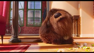 The Secret Life of Pets movie clip - "Max Frames Duke"
