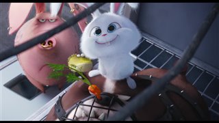 The Secret Life of Pets movie clip - "We Are The Flushed Pets"