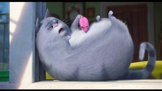 The Secret Life of Pets movie clip - "Chloe Dosen't Care"