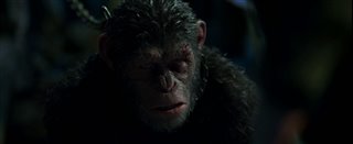 War for the Planet of the Apes Movie Clip - "I Came for You"