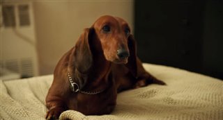 Wiener-Dog - Official Trailer