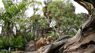 Pandora: The World of Avatar at Walt Disney World